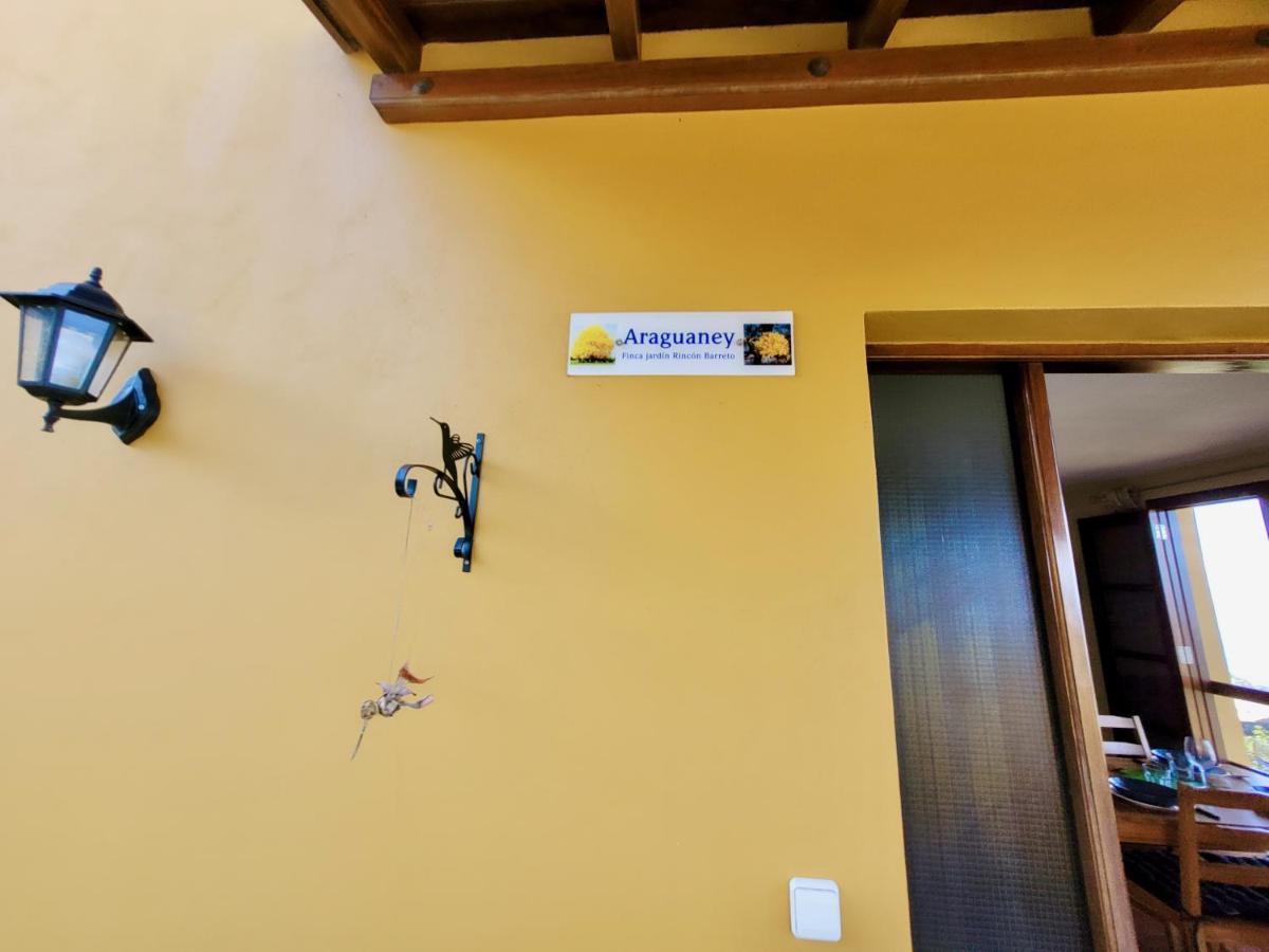 Bollullo Sunset - Araguaney Apartment ลาโอโรตาวา ภายนอก รูปภาพ
